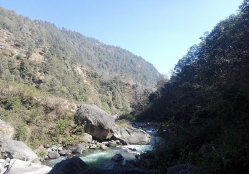 Site
